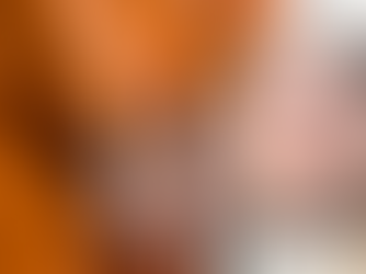 North Tonawanda Man Pleads Guilty to Deadly Attack and Check Theft Scheme