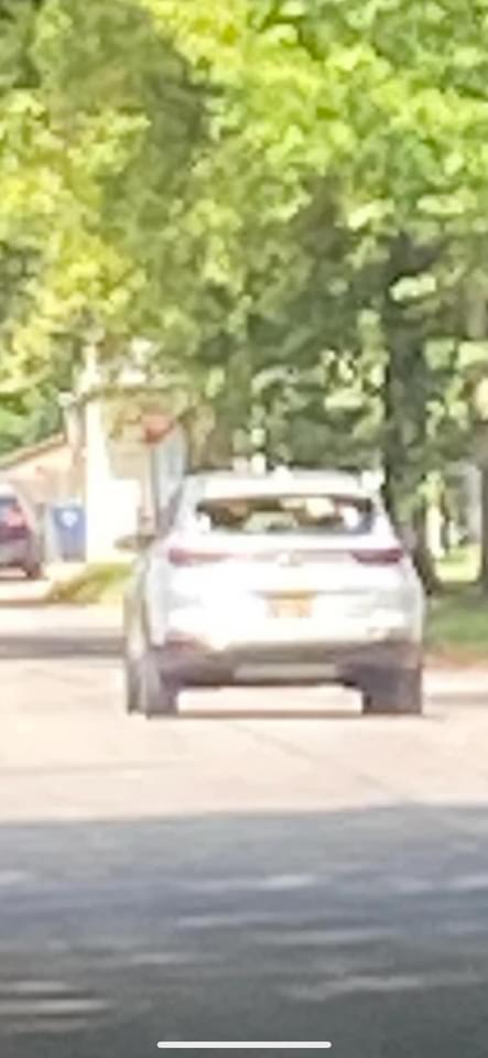 Vehicle Flees Scene After Killing Puppy in Niagara Falls - Niagara Action