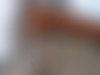 Dinosaur Bar-B-Que to Close Buffalo Location