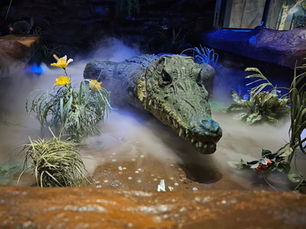 Suspect Brawls with Security After Stealing Coins Out of Crocodile Pond at Rainforest Cafe in Niagara Falls