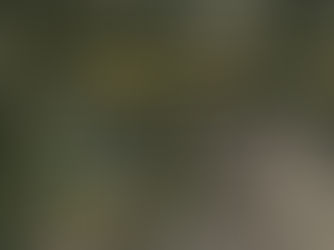 Radioactive Waste Shipments from Niagara Falls Site Delayed by Court Order