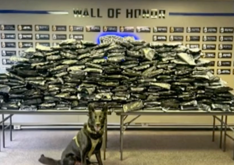 Three Arrested After 200+ Pounds of Marijuana Found at Buffalo Niagara Airport