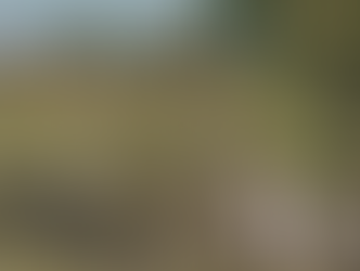 NTSB Launches Investigation into Fatal Plane Crash near Youngstown, NY