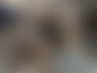 Niagara County Woman Charged After Dog Rescued for Starvation Dies on Christmas