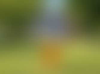 Niagara Falls Teacher Luke Laboy Fired After Racist Slavery Joke Allegedly Made in Classroom at Gaskill Preparatory