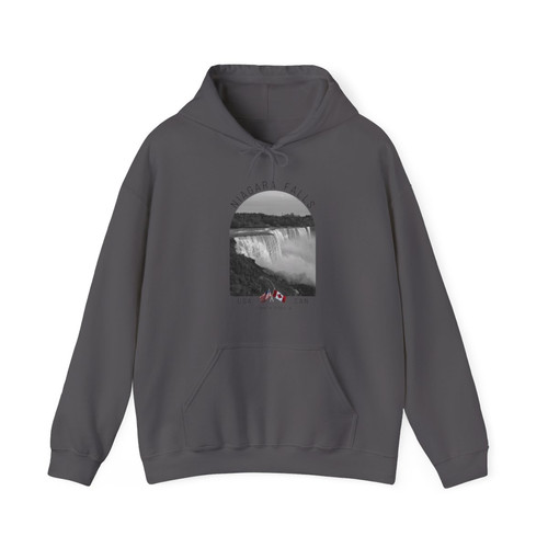 palace jenny hood gray かき鳴らし M hooded hoodie 