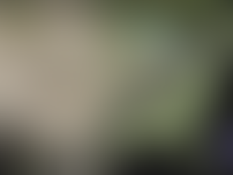 Want to Enhance Your Solar Eclipse Experience? Wear Green or Red!