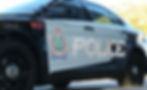 AUDIO: Teen Daughter Punches Mother in the Face