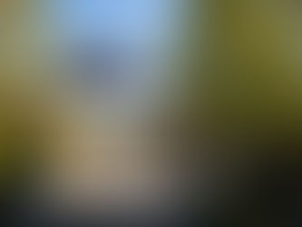 Becker Farms, Vizcarra Vineyards Celebrate Grape Harvest Season with Annual Concord Grape Stomp