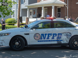 Puppy Stolen from Niagara Falls Home in Broad Daylight