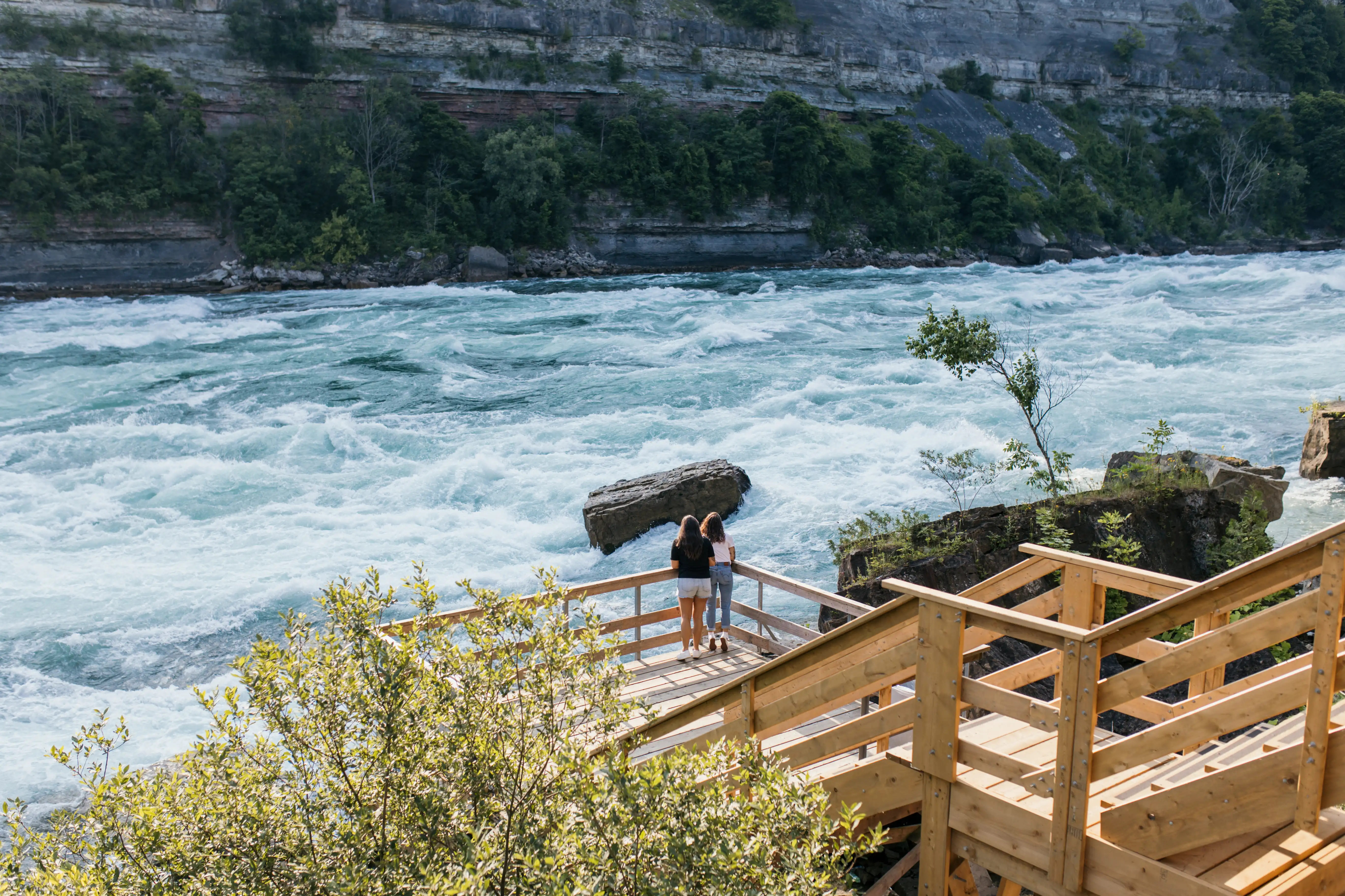 White Water Walk Canada - Nature - Animals - Rapids