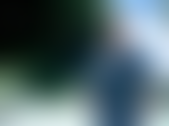 NYS Park Police Officer Rescues Drowning Woman at Niagara Falls' American Rapids