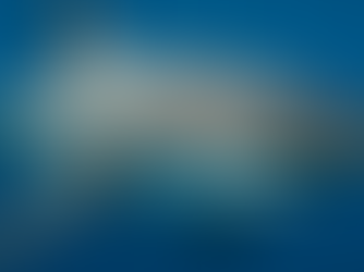 Giant Shark Tracked From Florida to New York Sparks Swimmer Concerns