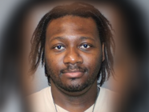 Man Admits to Violent and Evil Attack on Chihuahua, Faces a Year Behind Bars