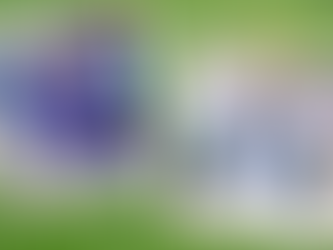 Bills QB Josh Allen is the Modern-Day Dan Marino