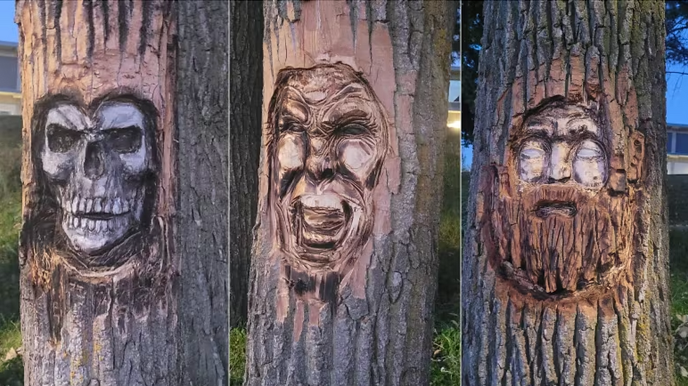Arrest Made in Eerie Tree Carving Mystery that Baffled Law Enforcement