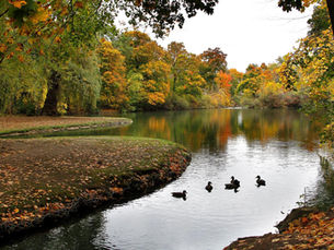 Step into Serenity: Explore the Tranquil Oasis of Niagara Falls' Dufferin Islands