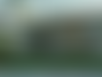 Male Threatening with Butcher Knife Near Niagara Falls Police Department Arrested