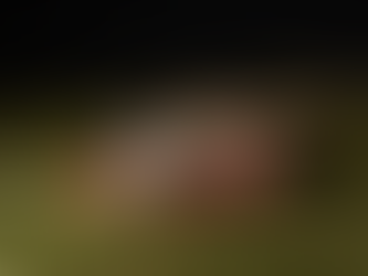 Identities Released of Two Killed in Horrific Niagara Rollover Crash