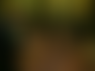 Two Fatal Hunting Incidents Reported in Upstate New York