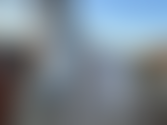 Statewide Hunt Underway for Stolen Horse with Medical Needs from Upstate New York