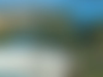 Vehicle Drives Into Upper Niagara Rapids, Driver Could Have Gone Over Falls