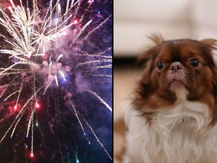 PETA Pushes Back Against Niagara Falls Fireworks