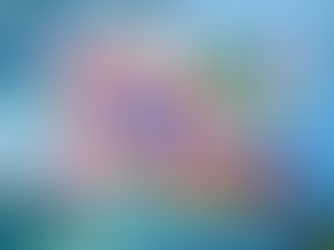 Exploring Niagara Falls: A Melting Pot of International Visitors