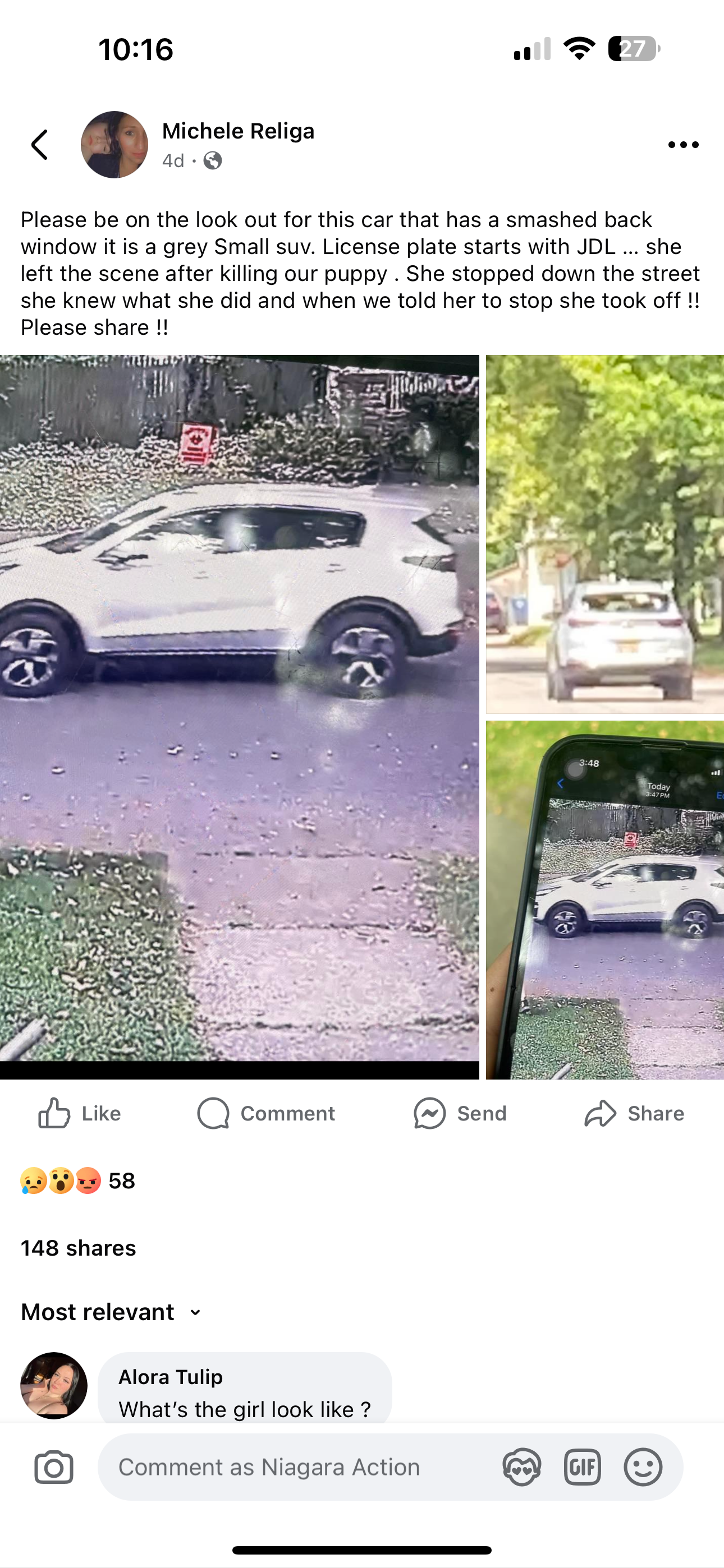 Vehicle Flees Scene After Killing Puppy in Niagara Falls - Niagara Action