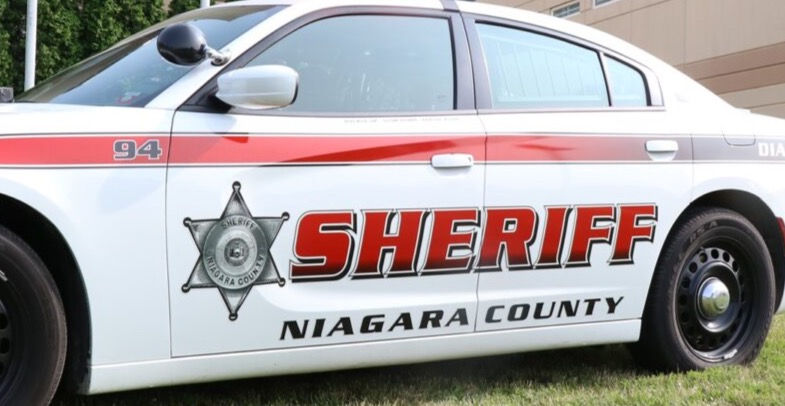 Niagara County Sheriff Wilson Animals arrest