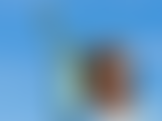 Hochul Refuses to Fund Statue of Liberty During Shutdown, Putting Landmark at Risk