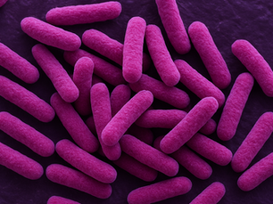 Deadly Legionnaires’ Outbreak Expands in New York, More Hospitalizations Confirmed