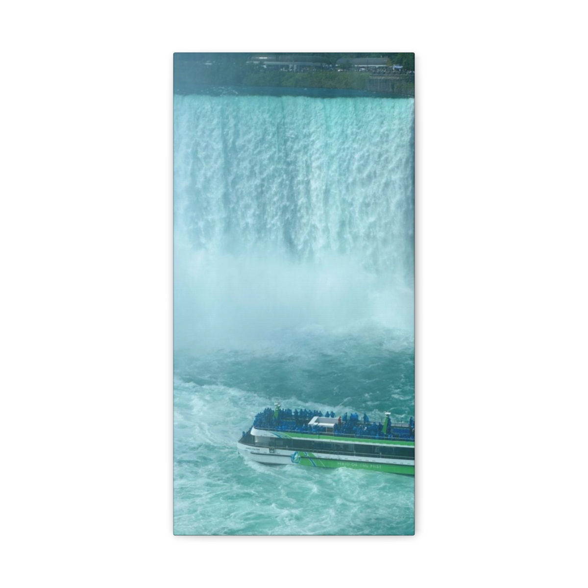 Horseshoe Falls Boat Ride Canvas Wall Art Decor