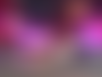 Suspect in Fatal Shootings Captured in Niagara Falls, Facing Murder Charges