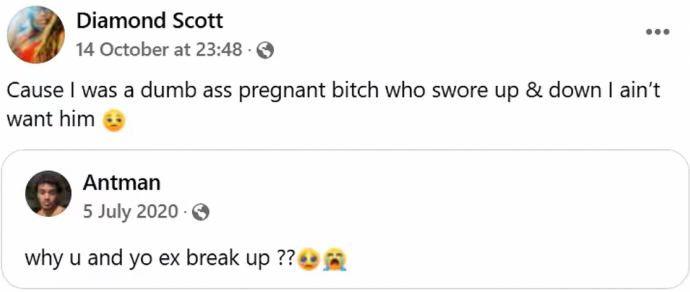 Haunting Posts of Mother Before Throwing Children and herself over Niagara Falls Paint Dark Story