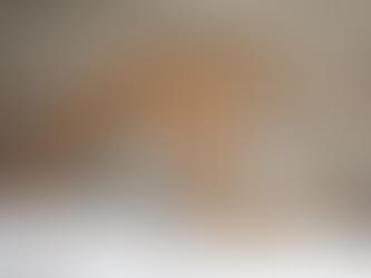 Buffalo Zoo Welcomes Young Male Tiger Named Sungari