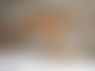 Buffalo Zoo Welcomes Young Male Tiger Named Sungari