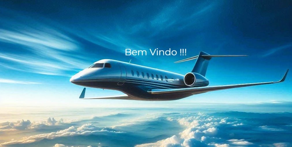 Jato Executivo Copy_edited_edited.jpg