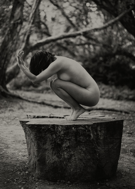 The offering. jpg.jpg