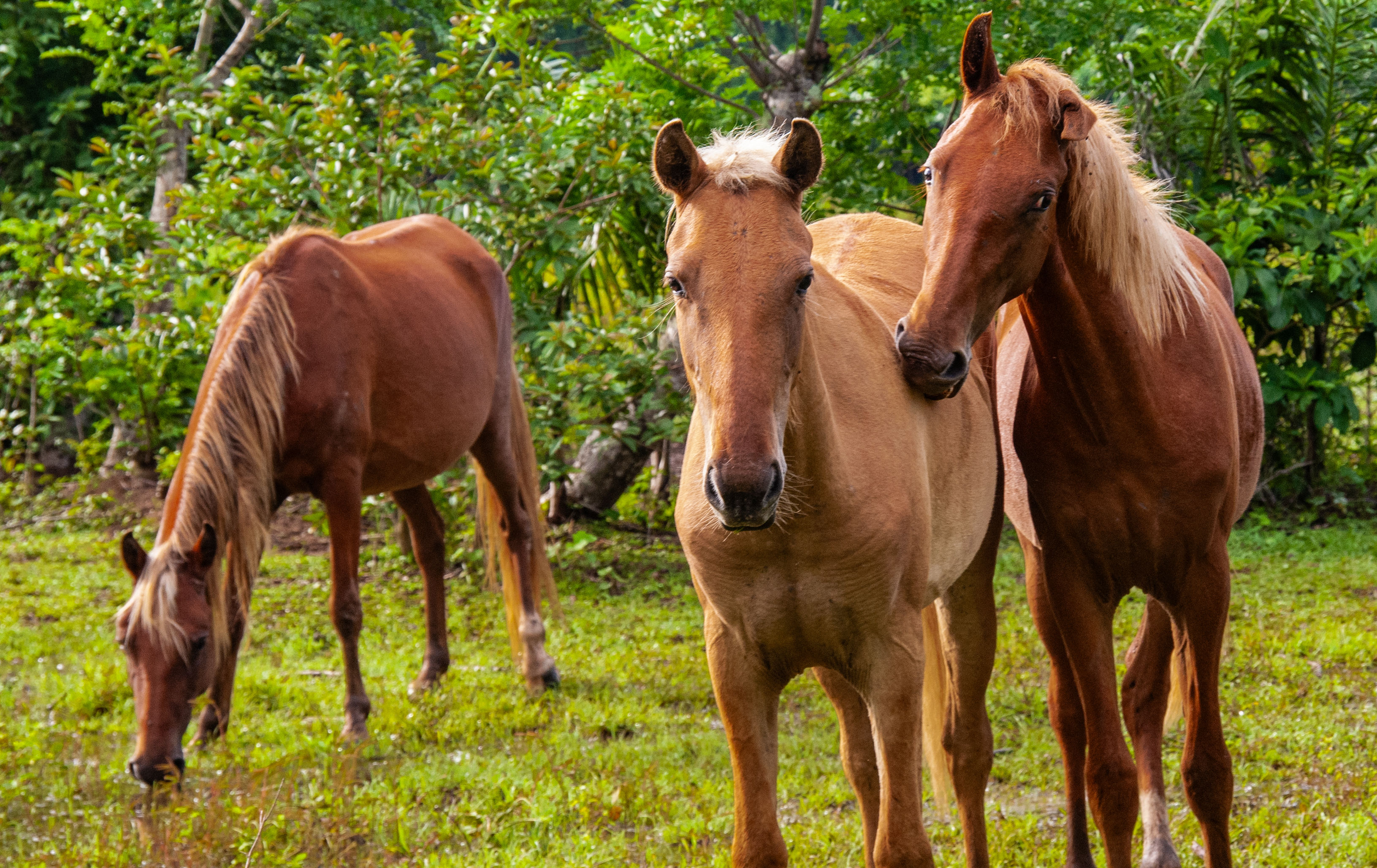 DR2011 JPG R4 HMDR-39.jpg