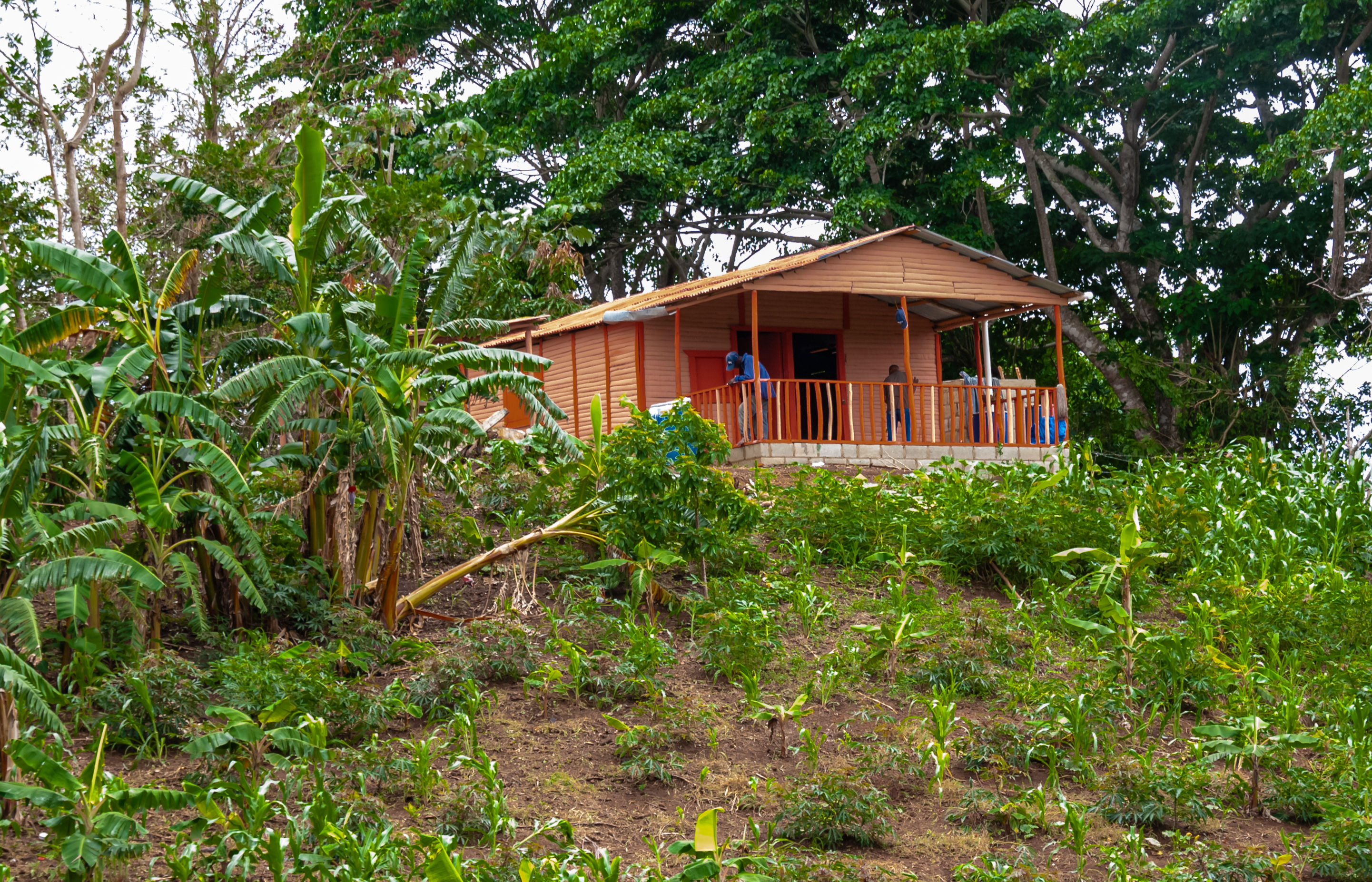 Little farm house on the hill