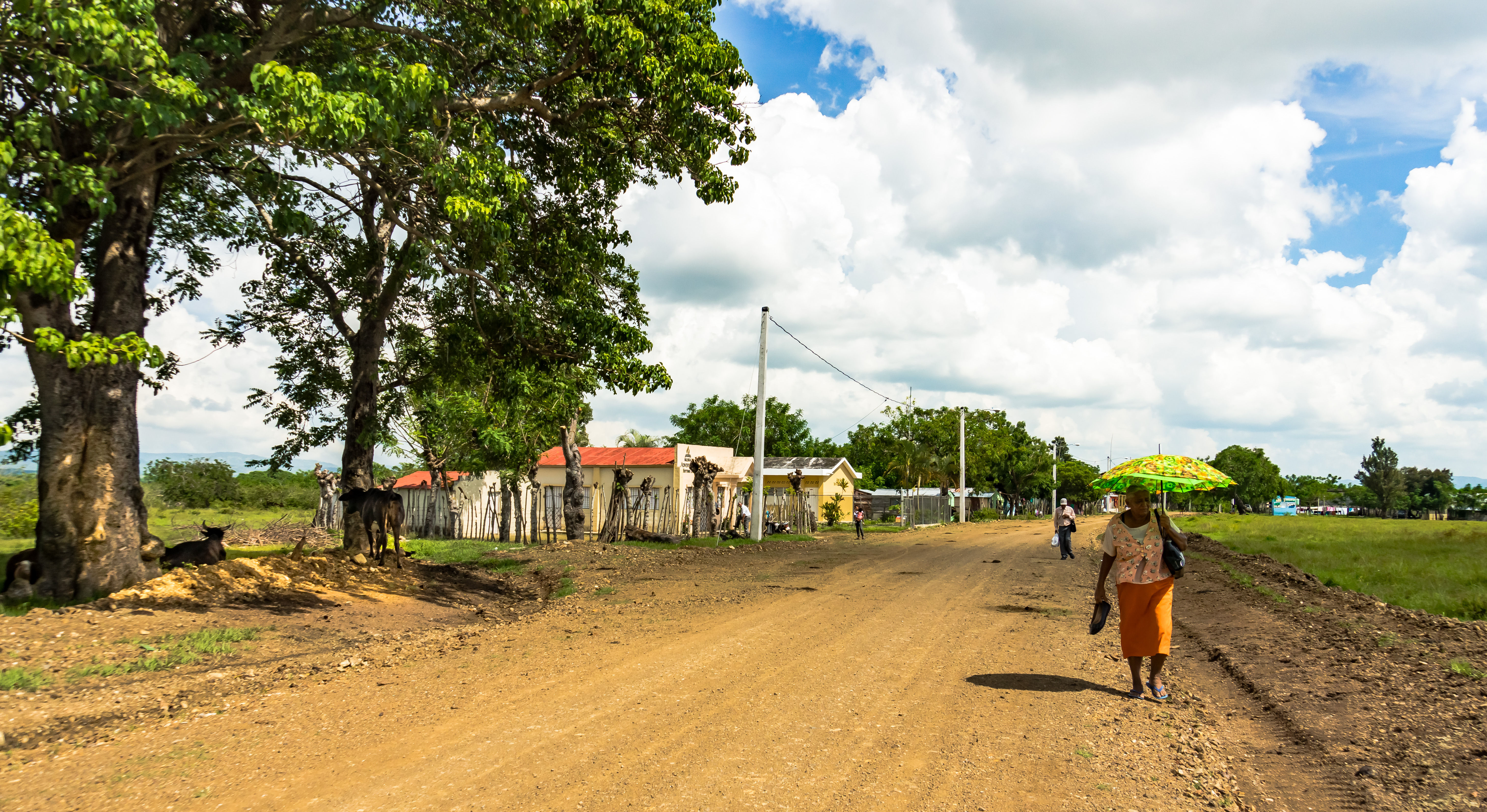 DR2016 JPEG R5-44.jpg