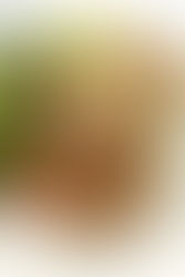 Dinner On the Fly: Salmon Burgers + Tahini-Roasted Cauliflower