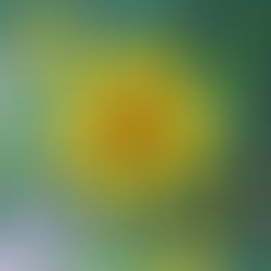 A Self-Care Guide for Highly Sensitive People