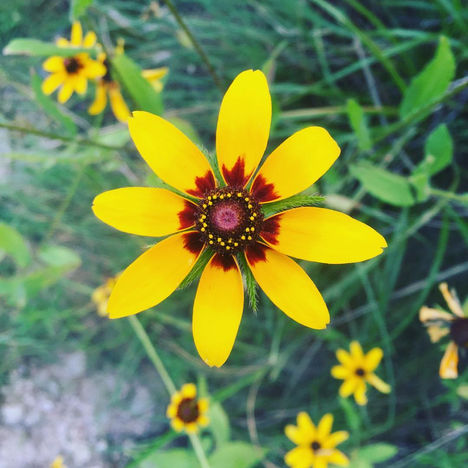 A Self-Care Guide for Highly Sensitive People