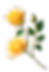 11423940.png