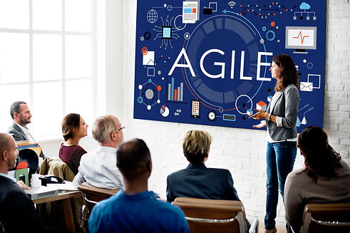 agile-agility-nimble-quick-fast-volant-concept.jpg