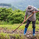 male-farmer-who-is-using-shovel-dig-soil-his-rice-fields.jpg