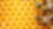 88-885322_uses-of-honey-bee.jpg