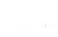 01dbec_c36e6dcf57b946aeb218954b592b7656.webp
